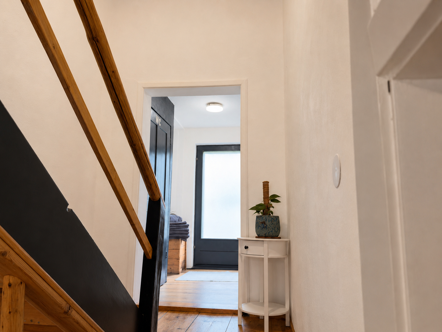 A bright corridor with hanging plants and the Starry Sky room door